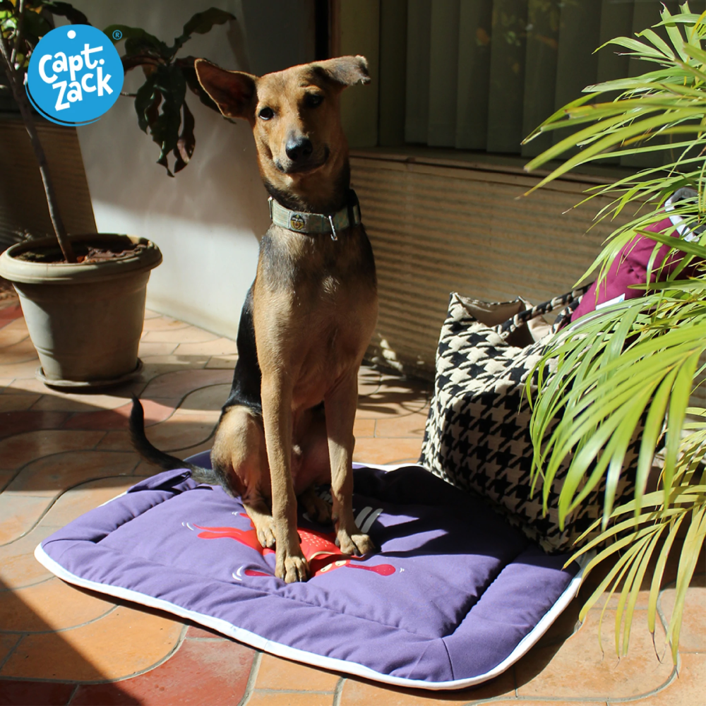 Captain Zack Lazy Matzzz for Dogs (Lavender)