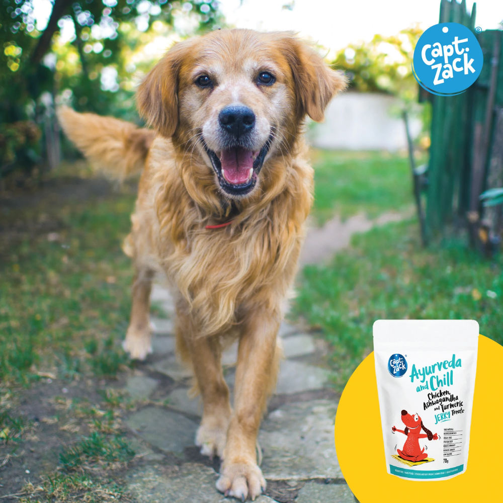 Captain Zack Ayurveda and Chill Jerky Dog Treats