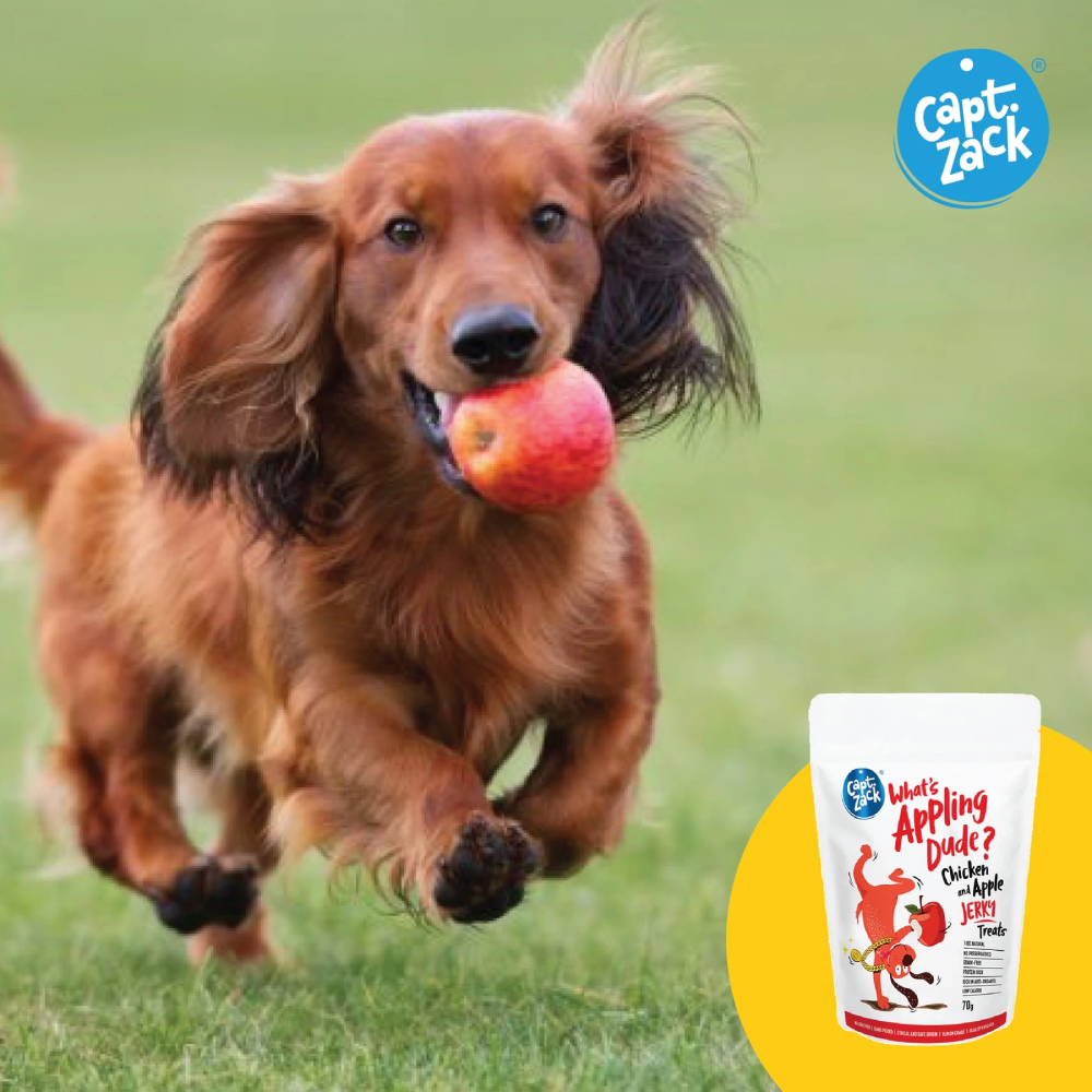 Captain Zack Whats Appling Dude Jerky Dog Treats
