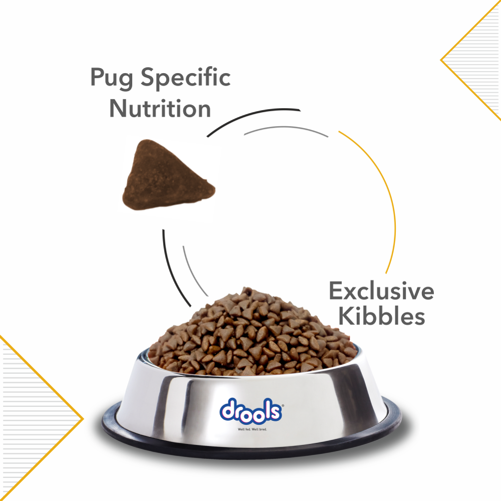 Drools Pug Adult Premium Dog Dry Food