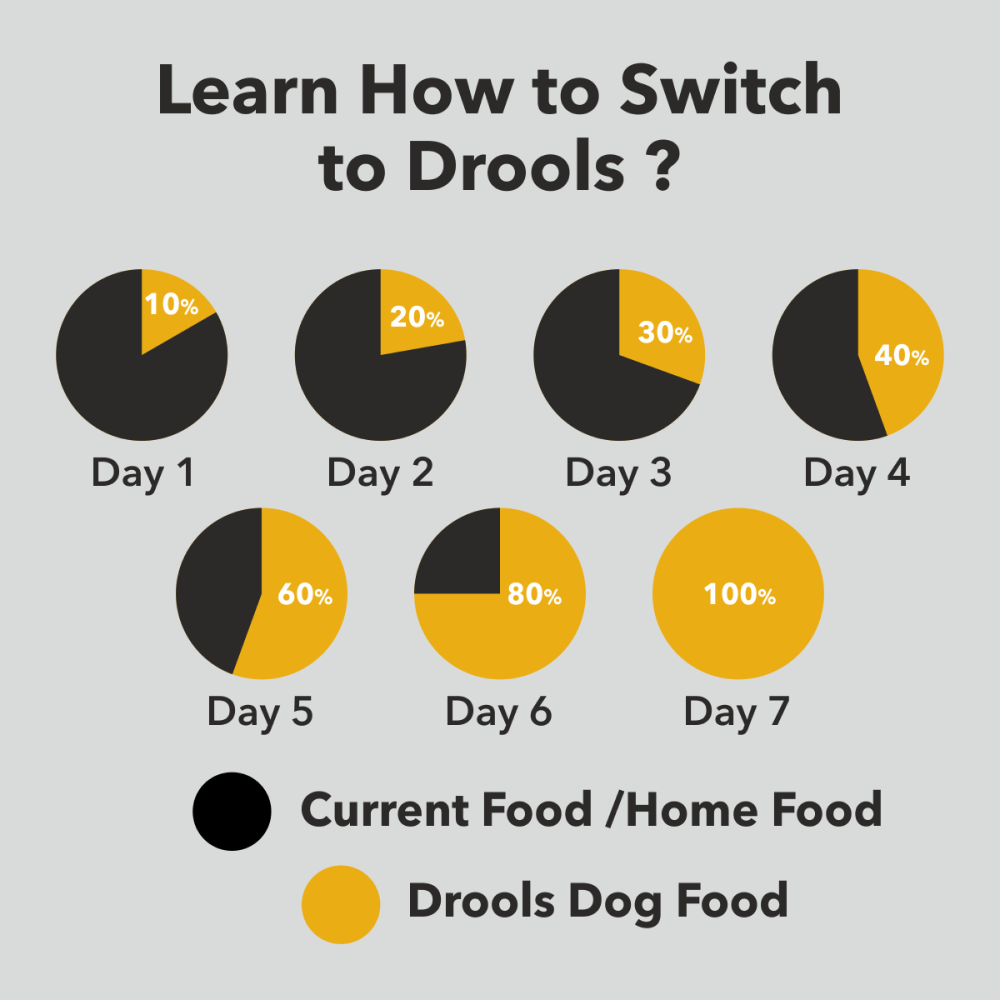 Drools Pug Adult Premium Dog Dry Food