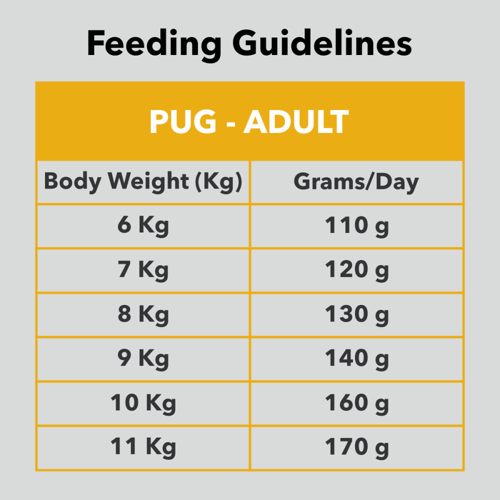 Drools Pug Adult Premium Dog Dry Food