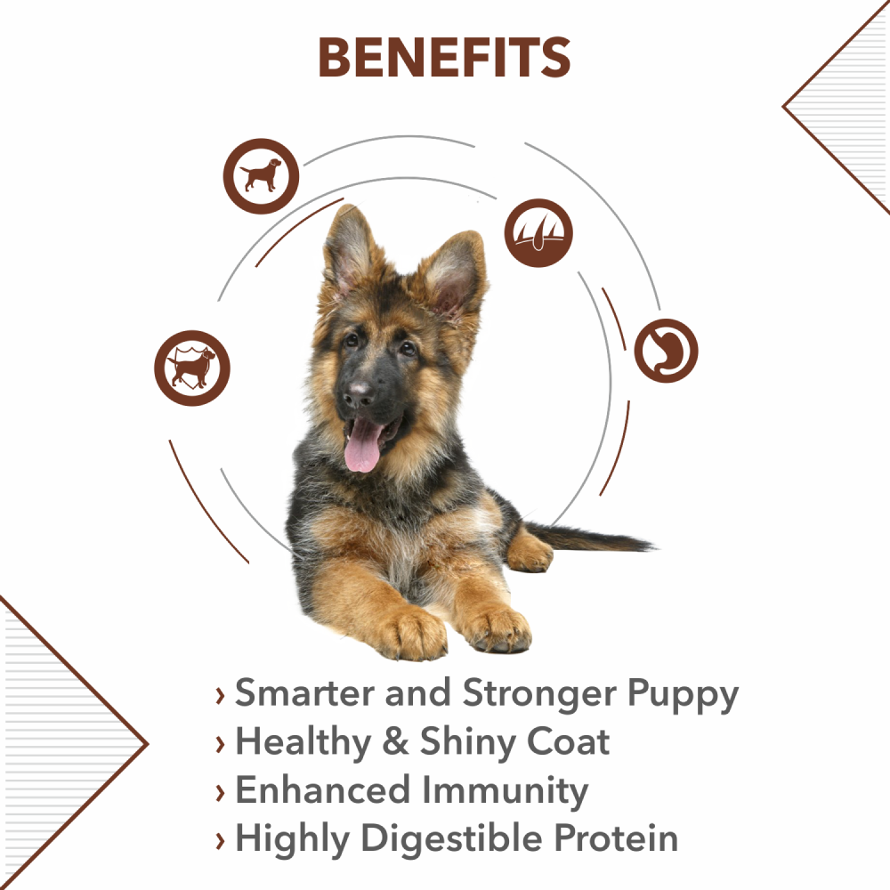 Drools German Shepherd Puppy Premium Dry Food