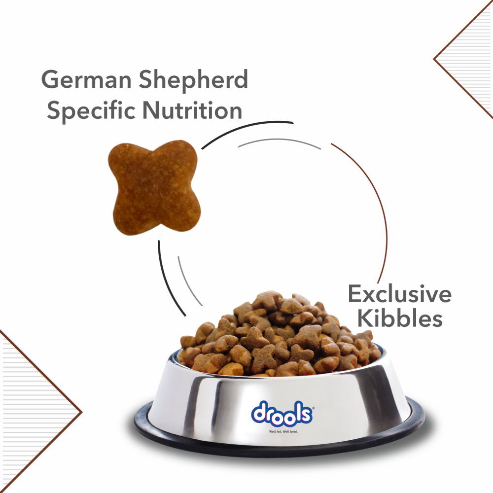 Drools German Shepherd Puppy Premium Dry Food