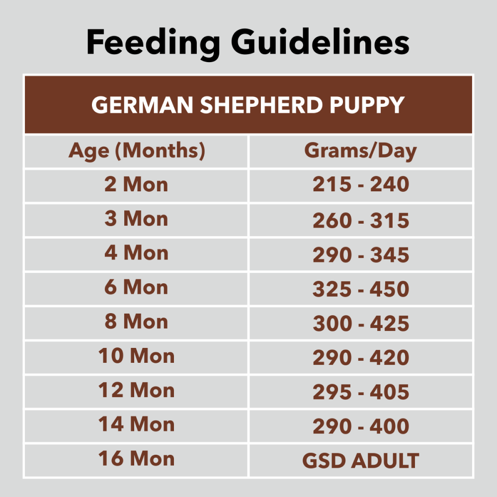 Drools German Shepherd Puppy Premium Dry Food