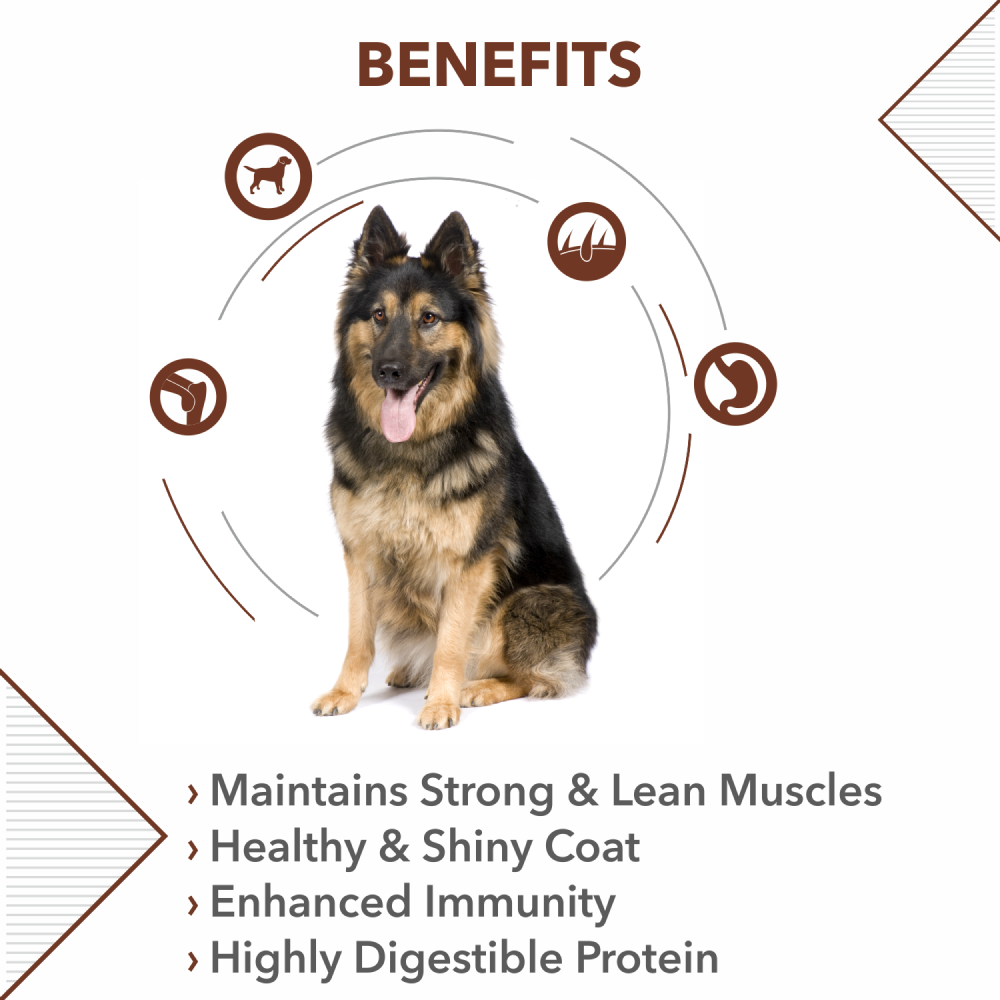Drools German Shepherd Adult Premium Dog Dry Food