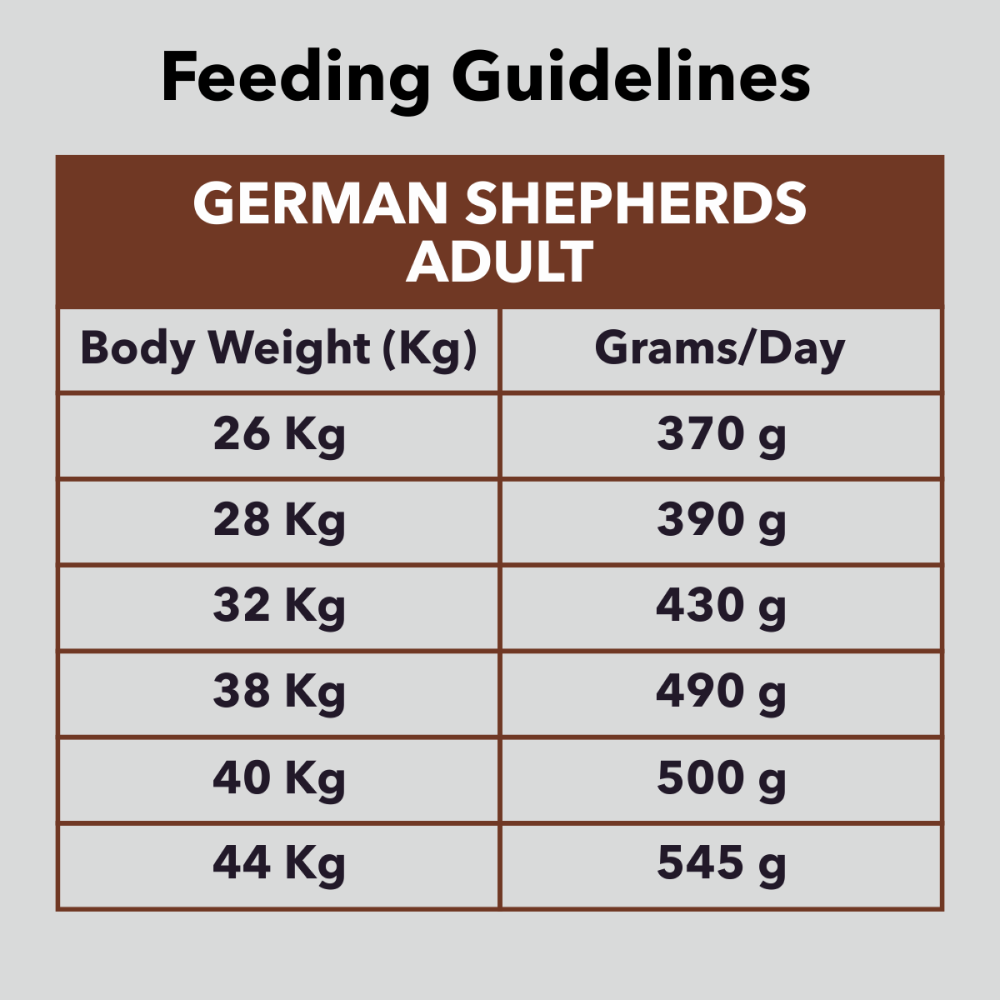 Drools German Shepherd Adult Premium Dog Dry Food