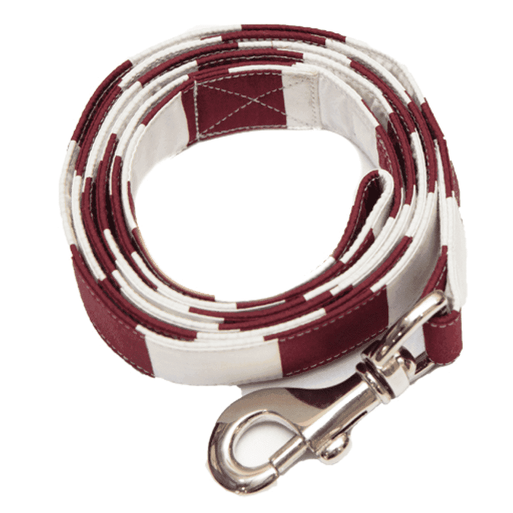 Pet And Parents (Namaste Pets) Upcycled Red Stripy Leash for Dogs