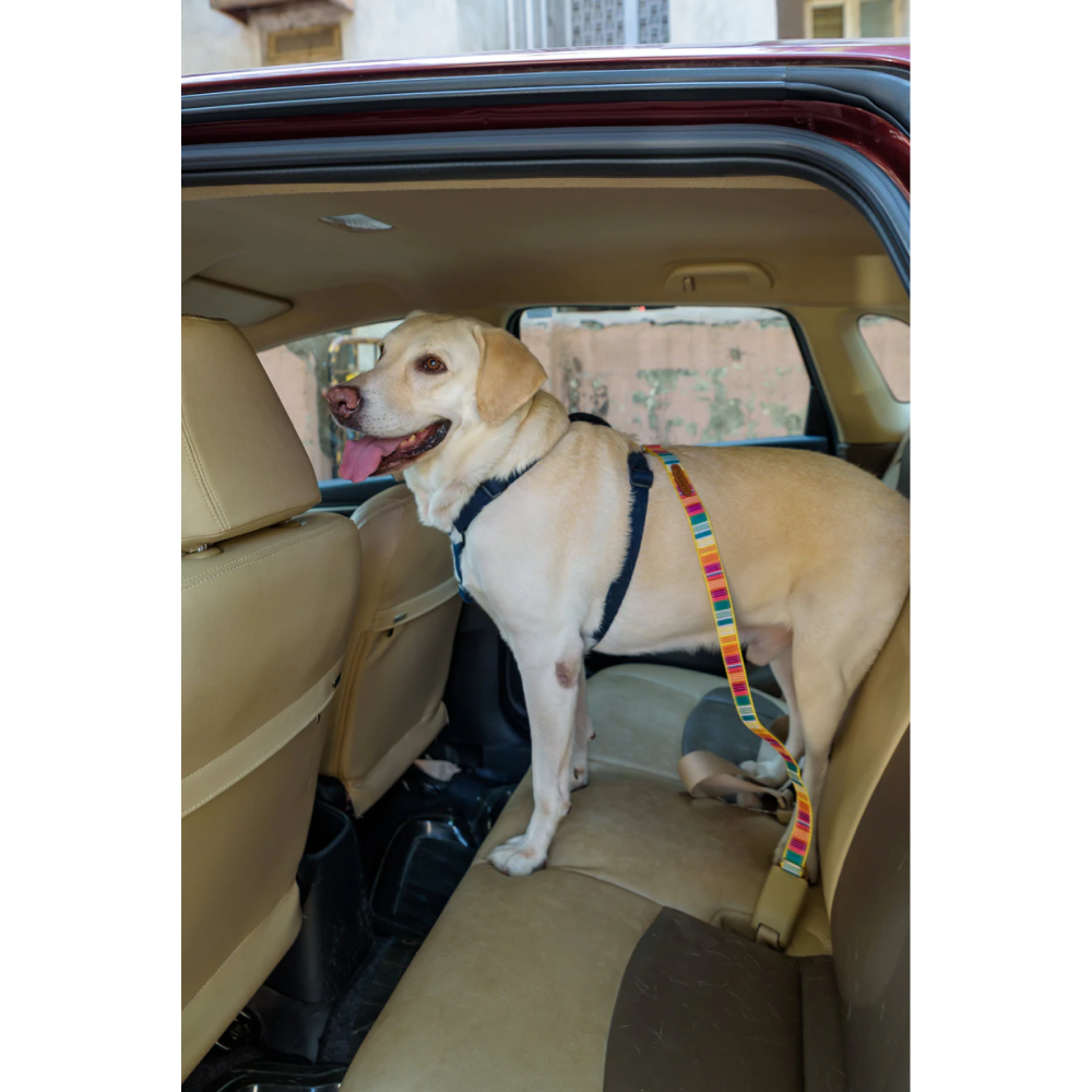 PetWale Car Seat Belt for Pets (Colourful Stripes)