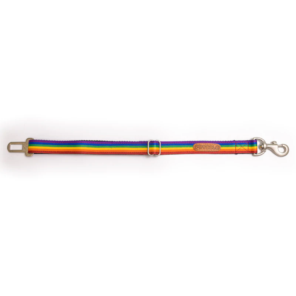 PetWale Car Seat Belt for Pets (Rainbow)