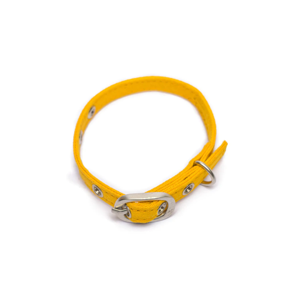 PetWale Collar for Cats (Yellow)