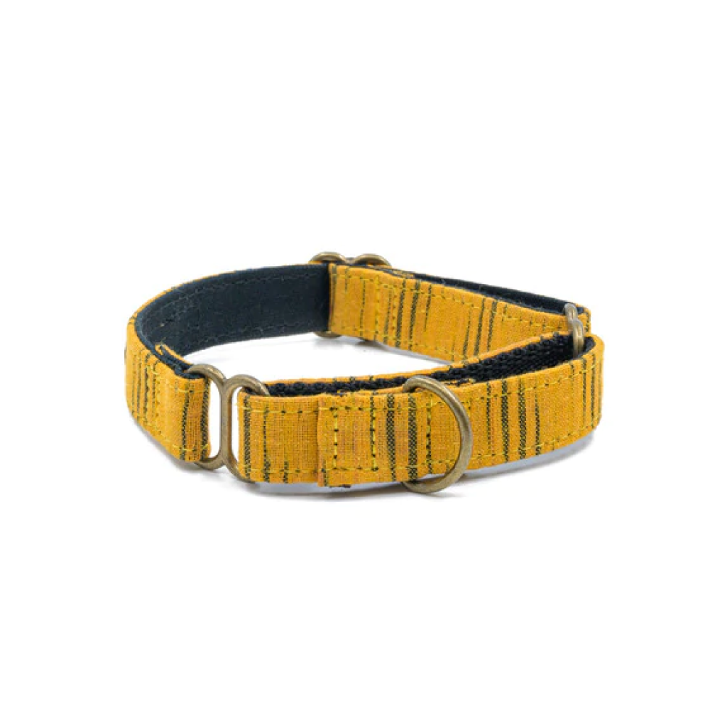 PetWale Martingale Collar for Dogs (Tiger Print)