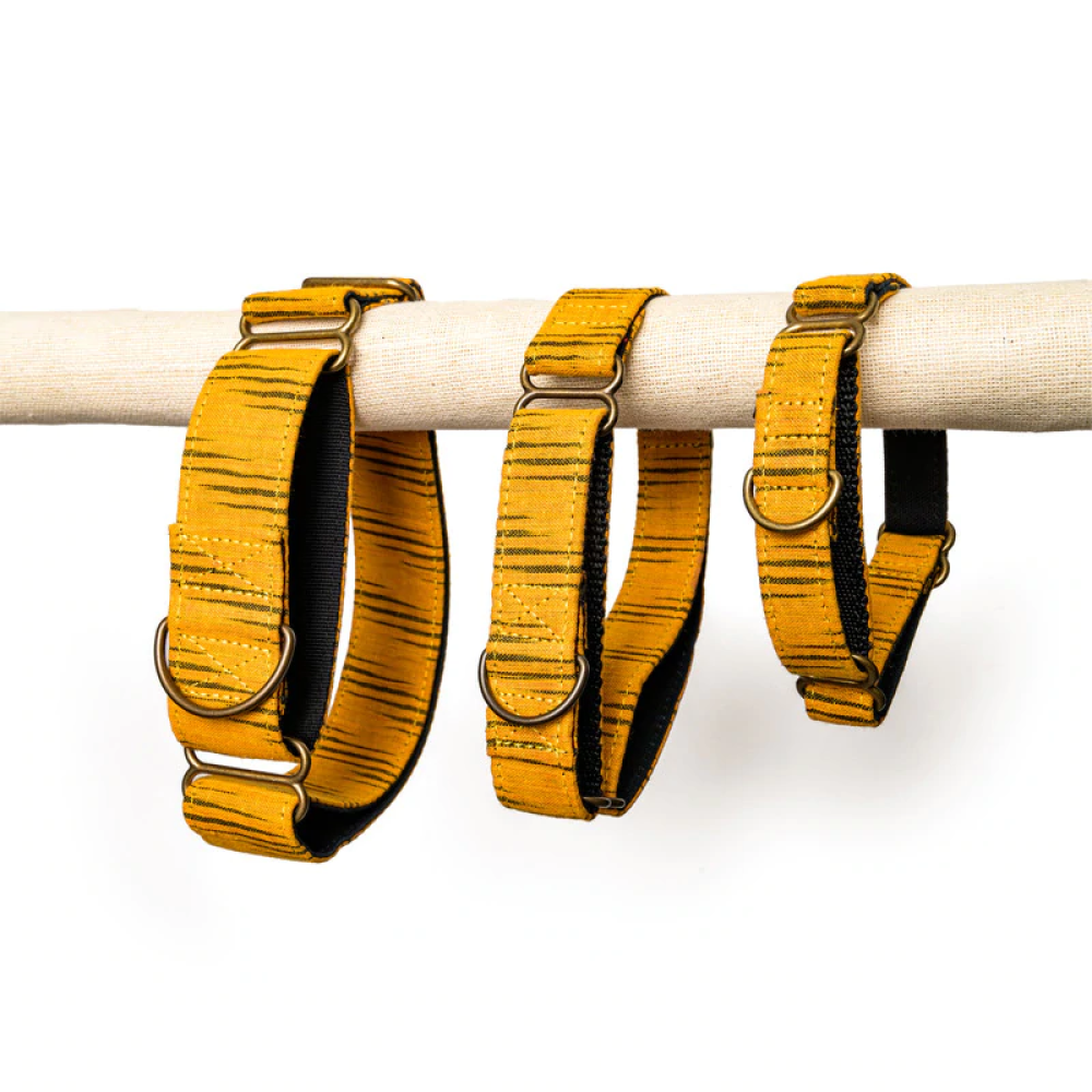 PetWale Martingale Collar for Dogs (Tiger Print)