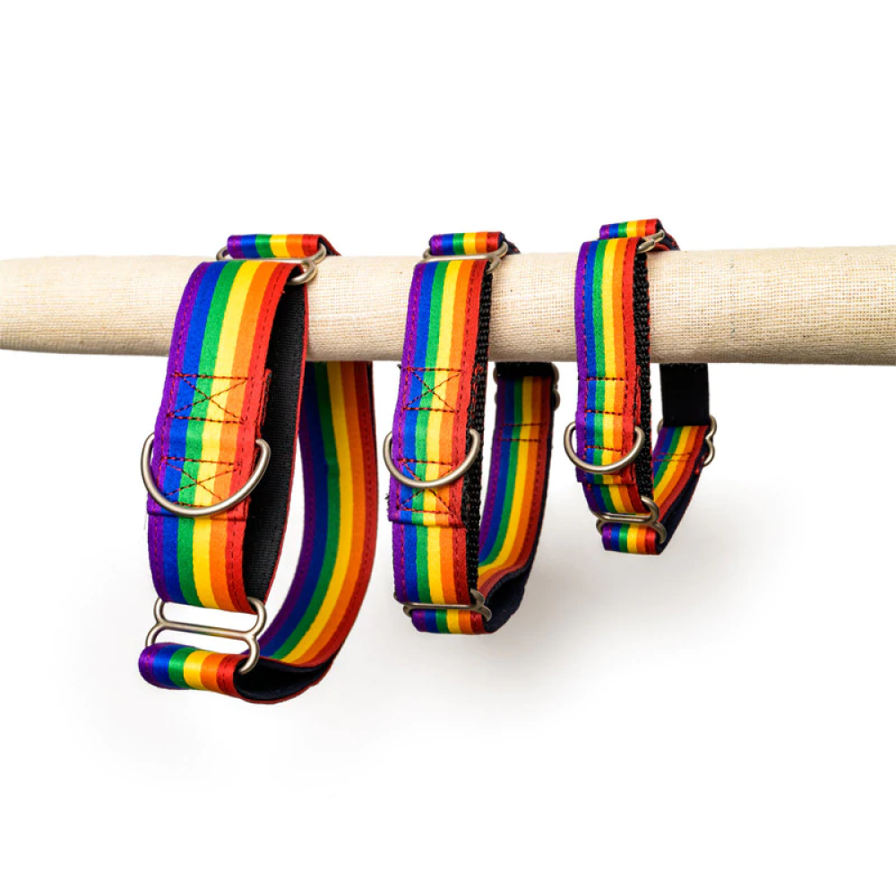 PetWale Martingale Collar for Dogs (Rainbow)