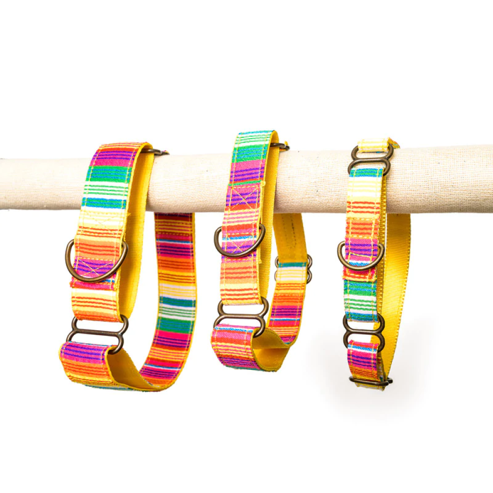 PetWale Martingale Collar for Dogs (Colourful Stripes)