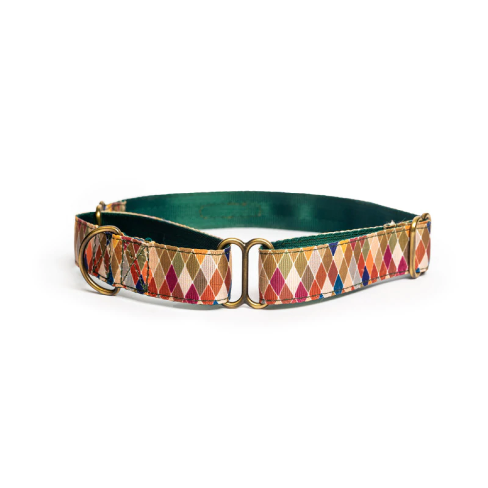 PetWale Martingale Collar for Dogs (Diamond)
