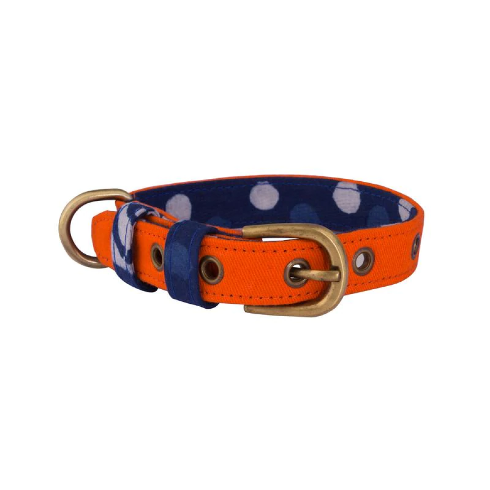 PetWale Fabric Belt Collar for Dogs (Orange)