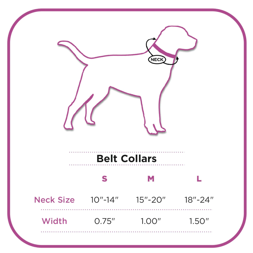 PetWale Fabric Belt Collar for Dogs (Orange)