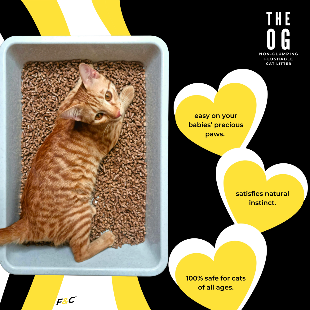 The OG Cat Litter 100% Biodegradable Flushable and Natural Litter for Cats