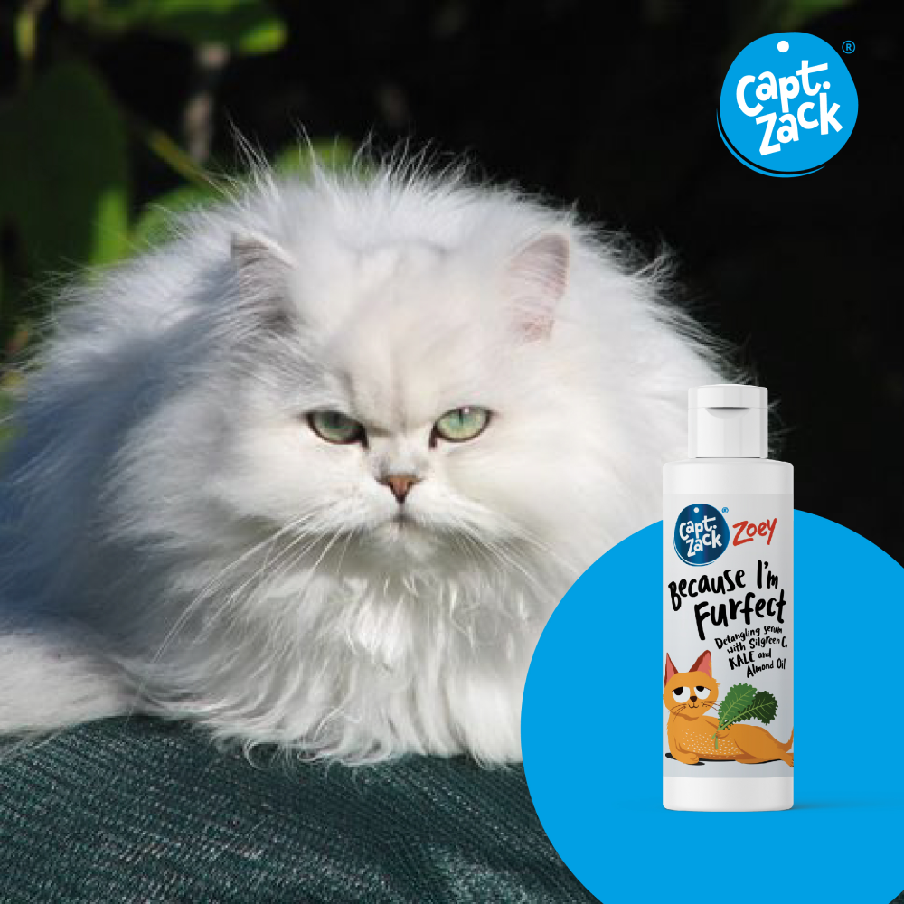Captain Zack Because Im Furfect Cat Serum