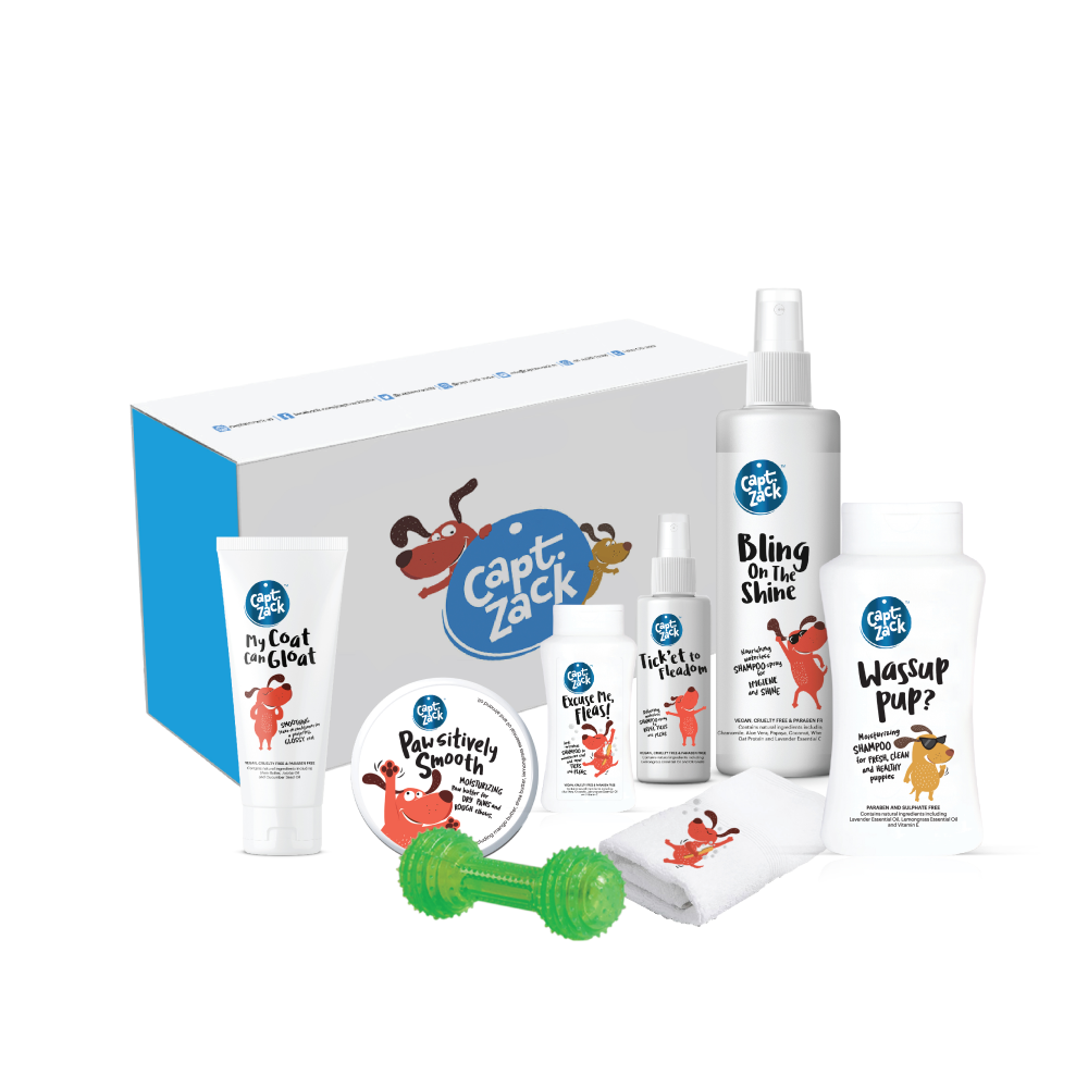 Captain Zack The Puppy Groom Box