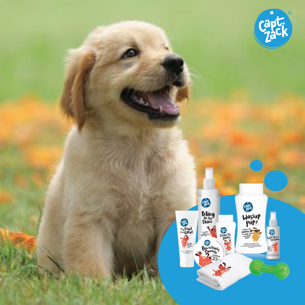 Captain Zack The Puppy Groom Box