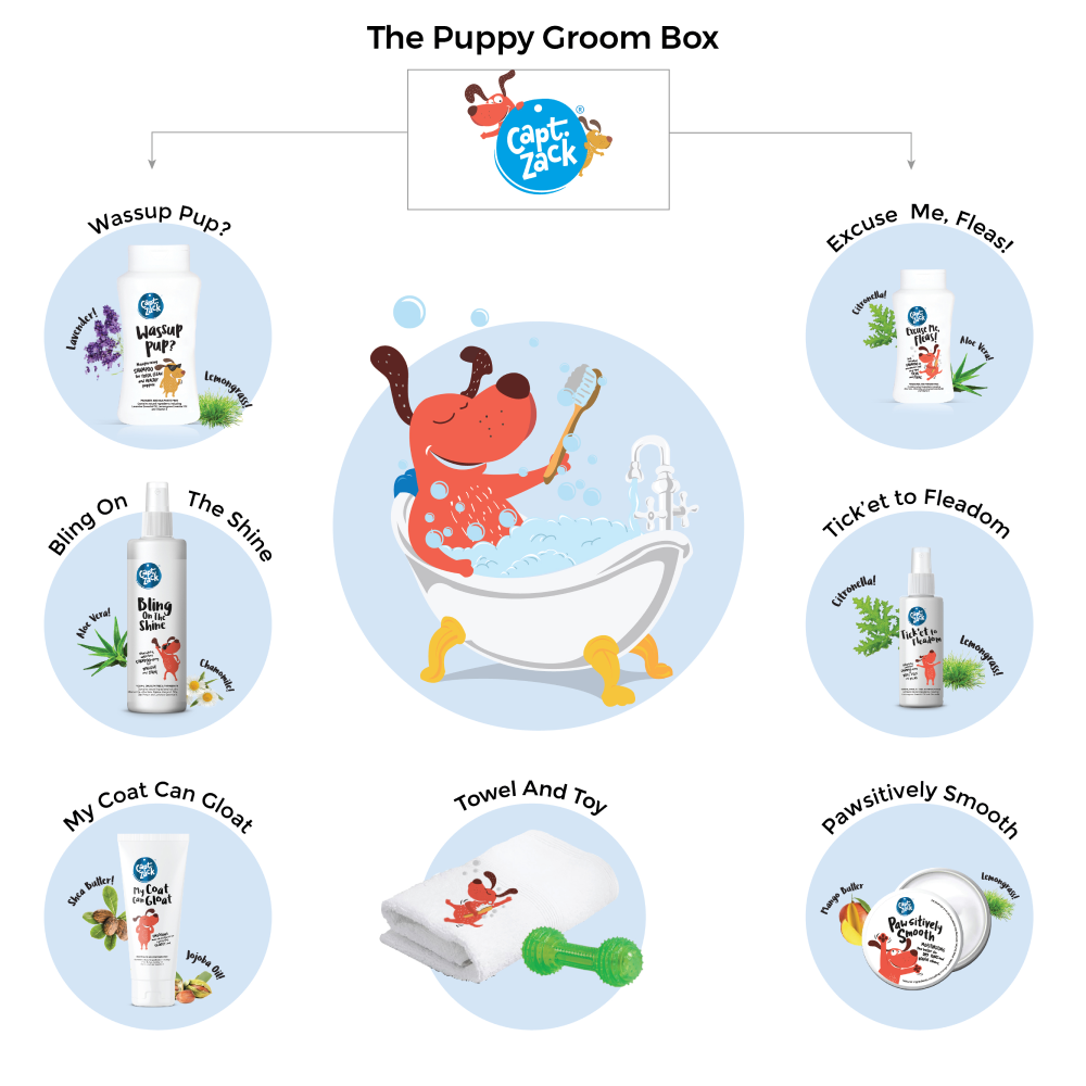 Captain Zack The Puppy Groom Box