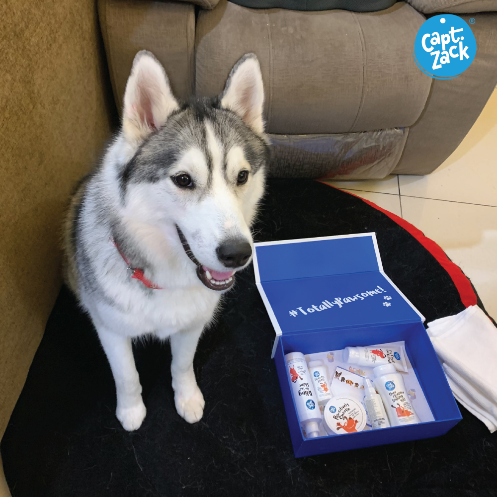 Captain Zack The Husky Groom Box