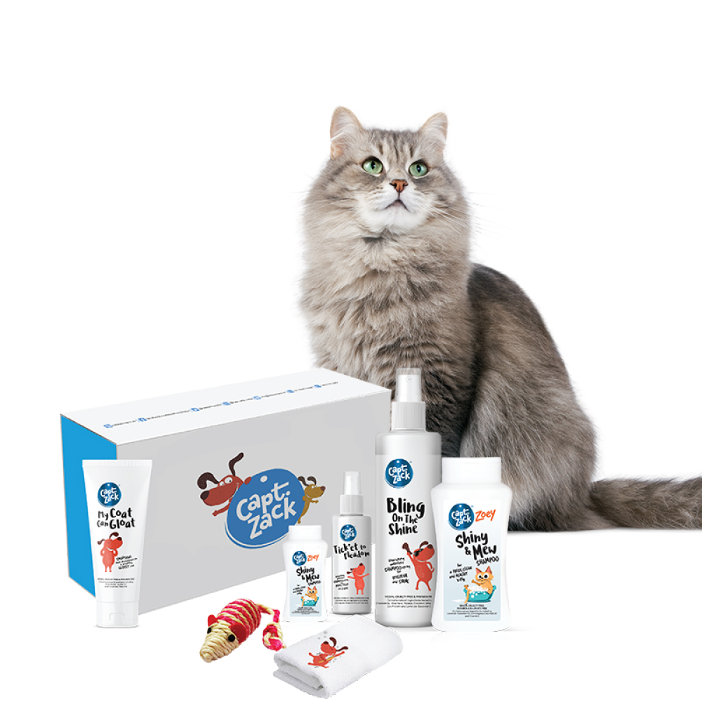 Captain Zack The Cat Groom Box for Cats