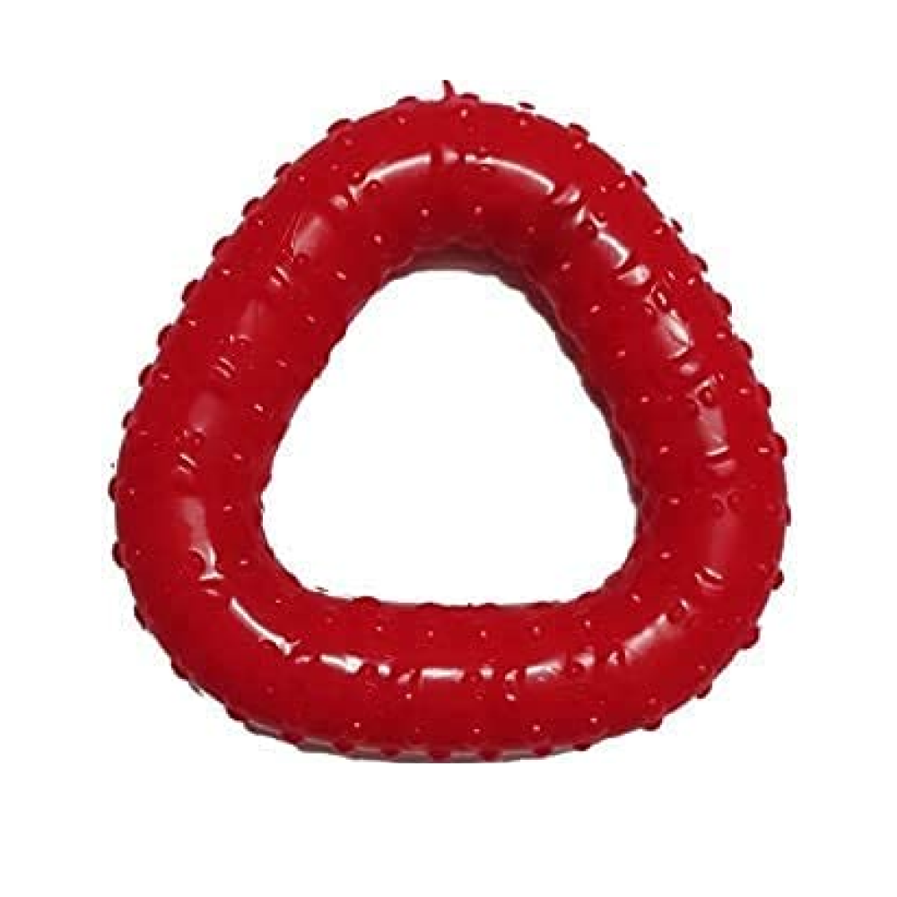 First Pet Natural Rubber Triangle Toy for Dogs