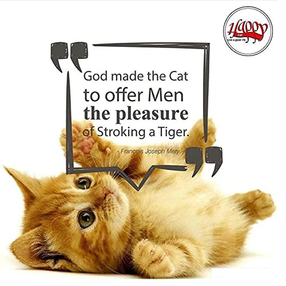 Happy Cat Litter Lemon Flavoured for Cats