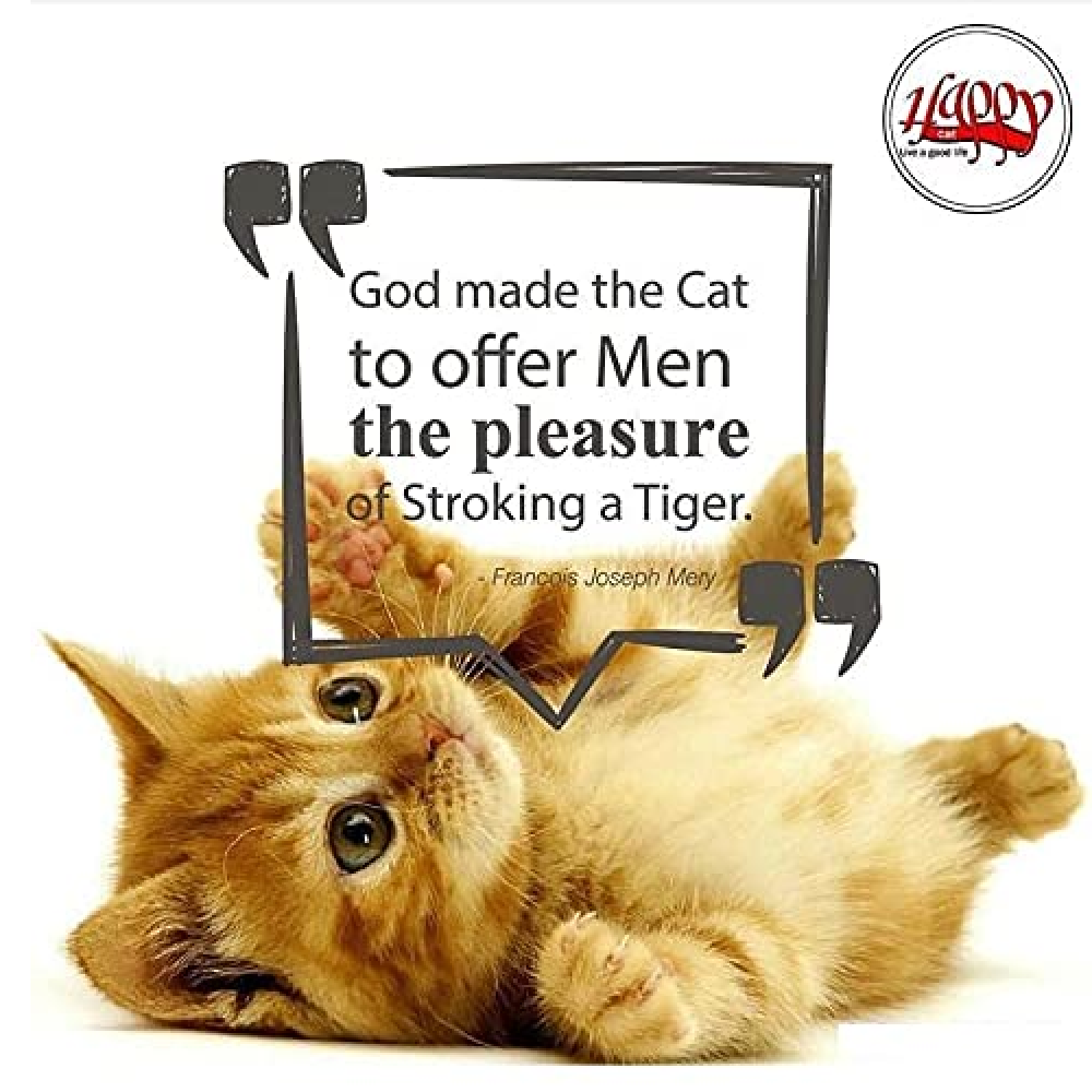 Happy Cat Litter Lavender Flavoured for Cats