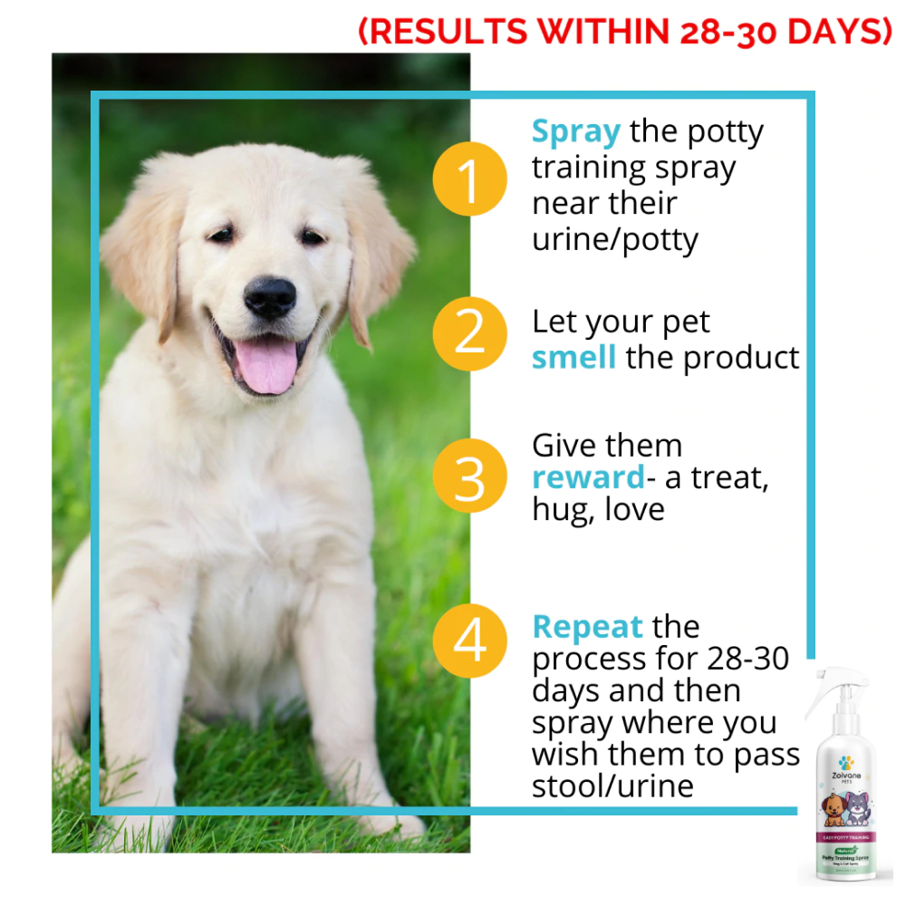 Zoivane Potty Training Spray for Dogs