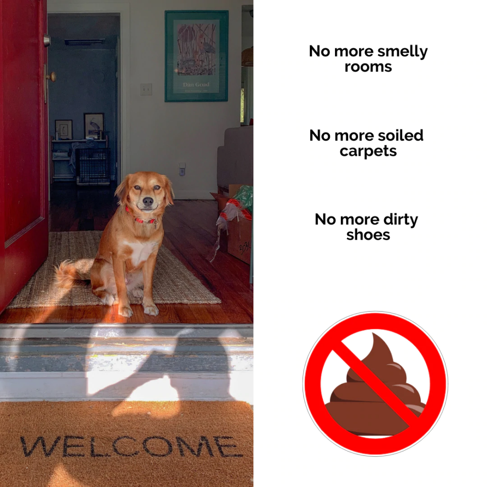 Zoivane Potty Training Spray for Dogs