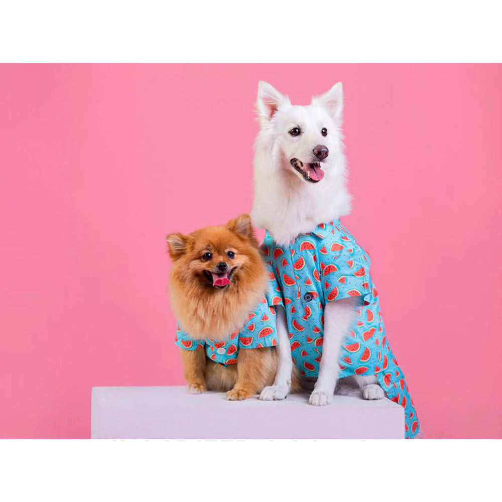 Pet And Parents (Namaste Pets) Watermelon Printed Shirt for Dogs (Blue)