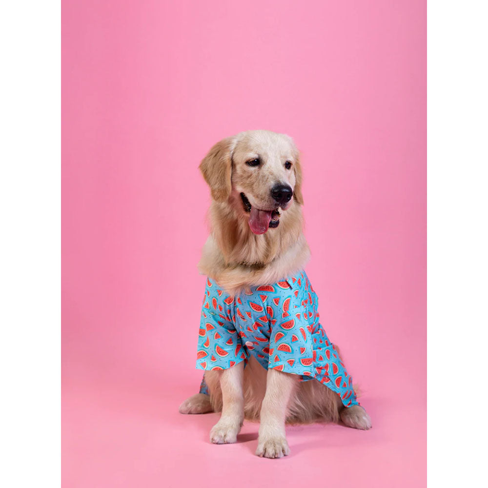 Pet And Parents (Namaste Pets) Watermelon Printed Shirt for Dogs (Blue)