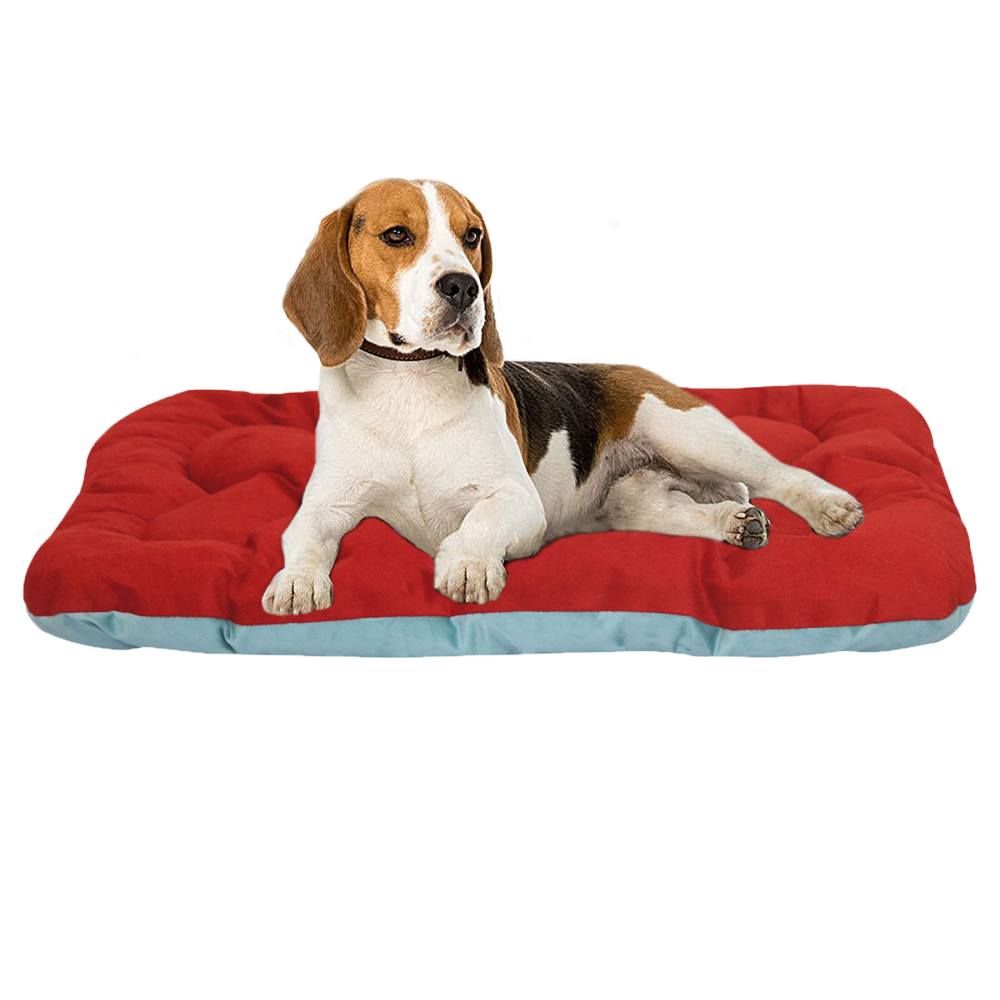 Hiputee Soft Velvet Cushion Cozy Reversible Washable Bed for Pets (Aqua Blue & Red)