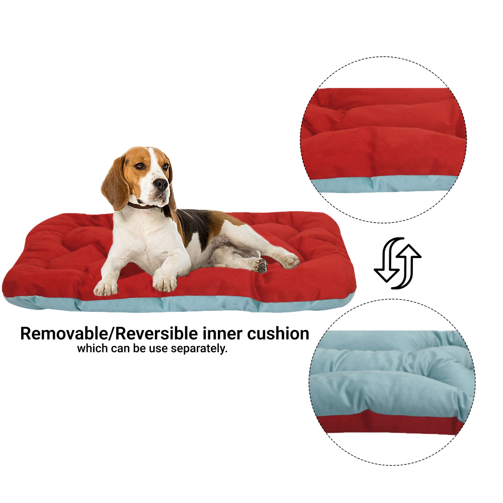 Hiputee Soft Velvet Cushion Cozy Reversible Washable Bed for Pets (Aqua Blue & Red)