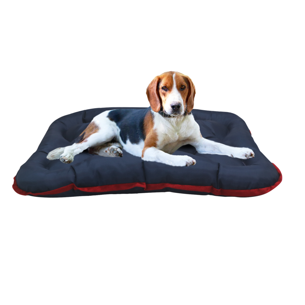 Hiputee Rectangular Shape Waterproof Polyester Fabric Bone Shaped Cushion Bed for Pets (Blue)