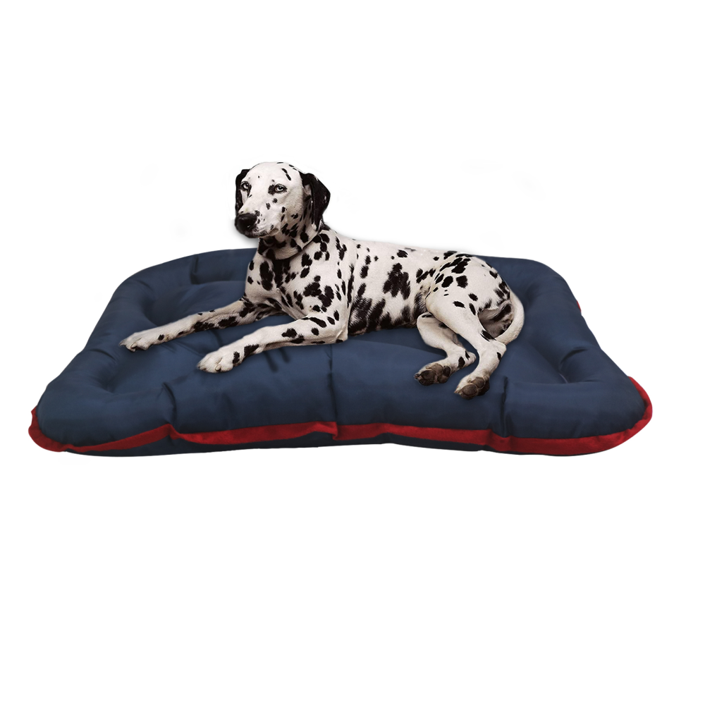 Hiputee Rectangular Shape Waterproof Polyester Fabric Bone Shaped Cushion Bed for Pets (Blue)