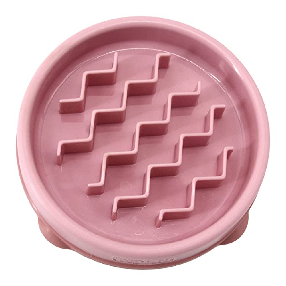 Outward Hound Fun Feeder Slow Feeder Bowl for Dogs (Pink)