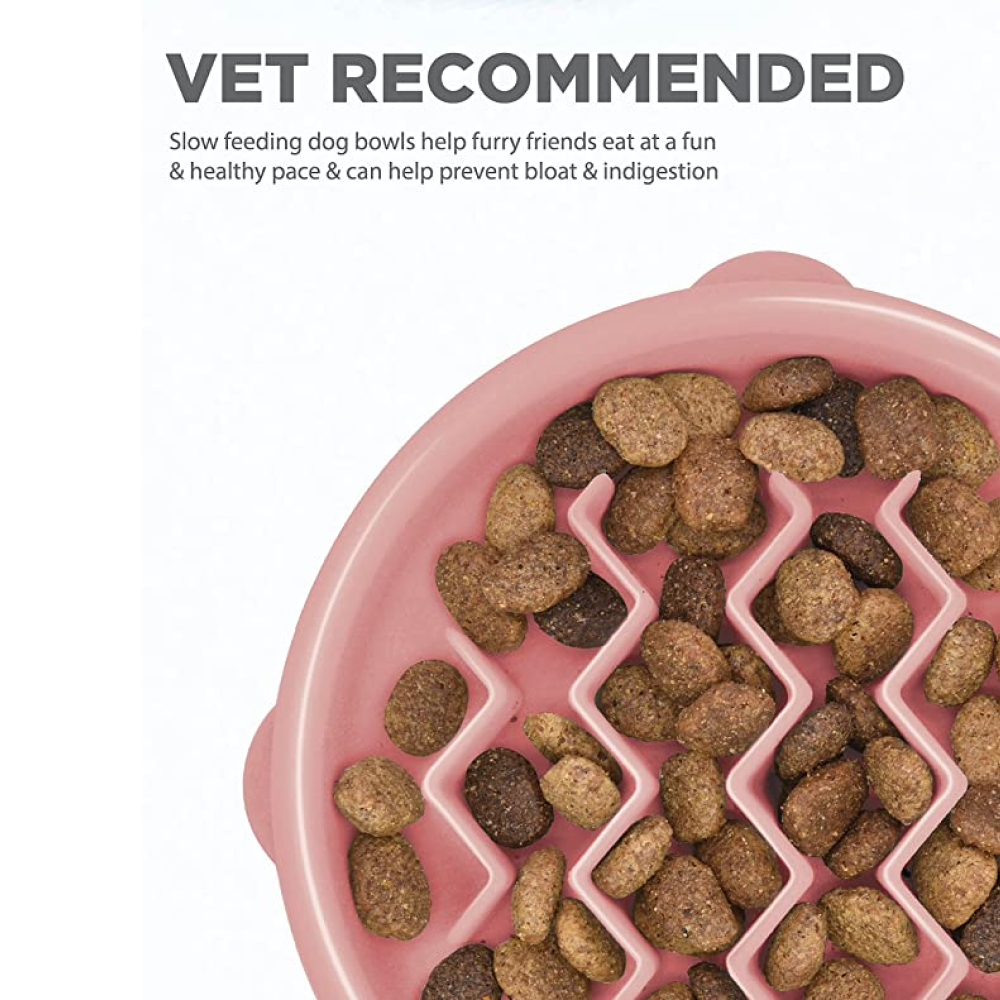 Outward Hound Fun Feeder Slow Feeder Bowl for Dogs (Pink)