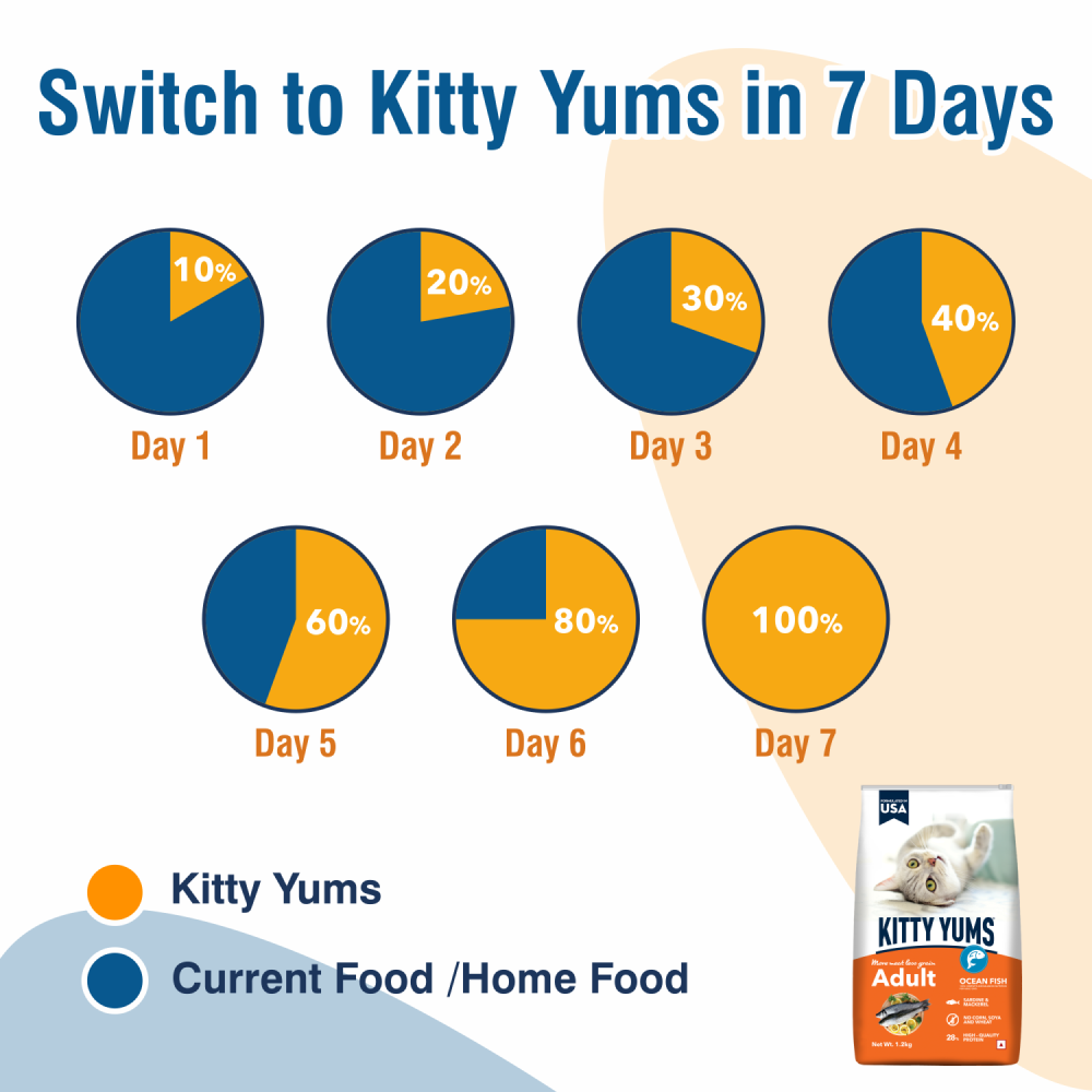Kitty Yums Cat Adult (Sample)