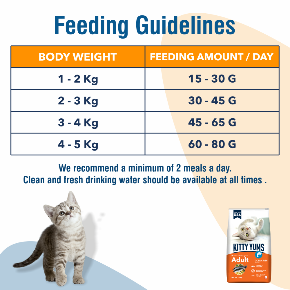 Kitty Yums Cat Adult (Sample)