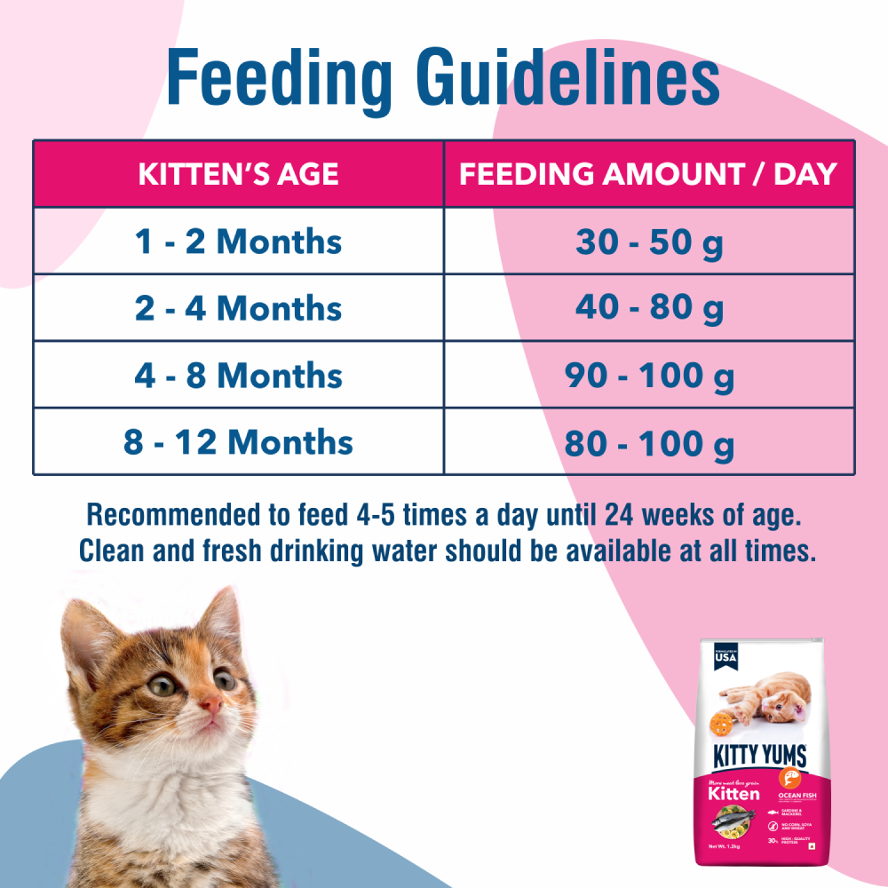 Kitty Yums Kitten (Sample)