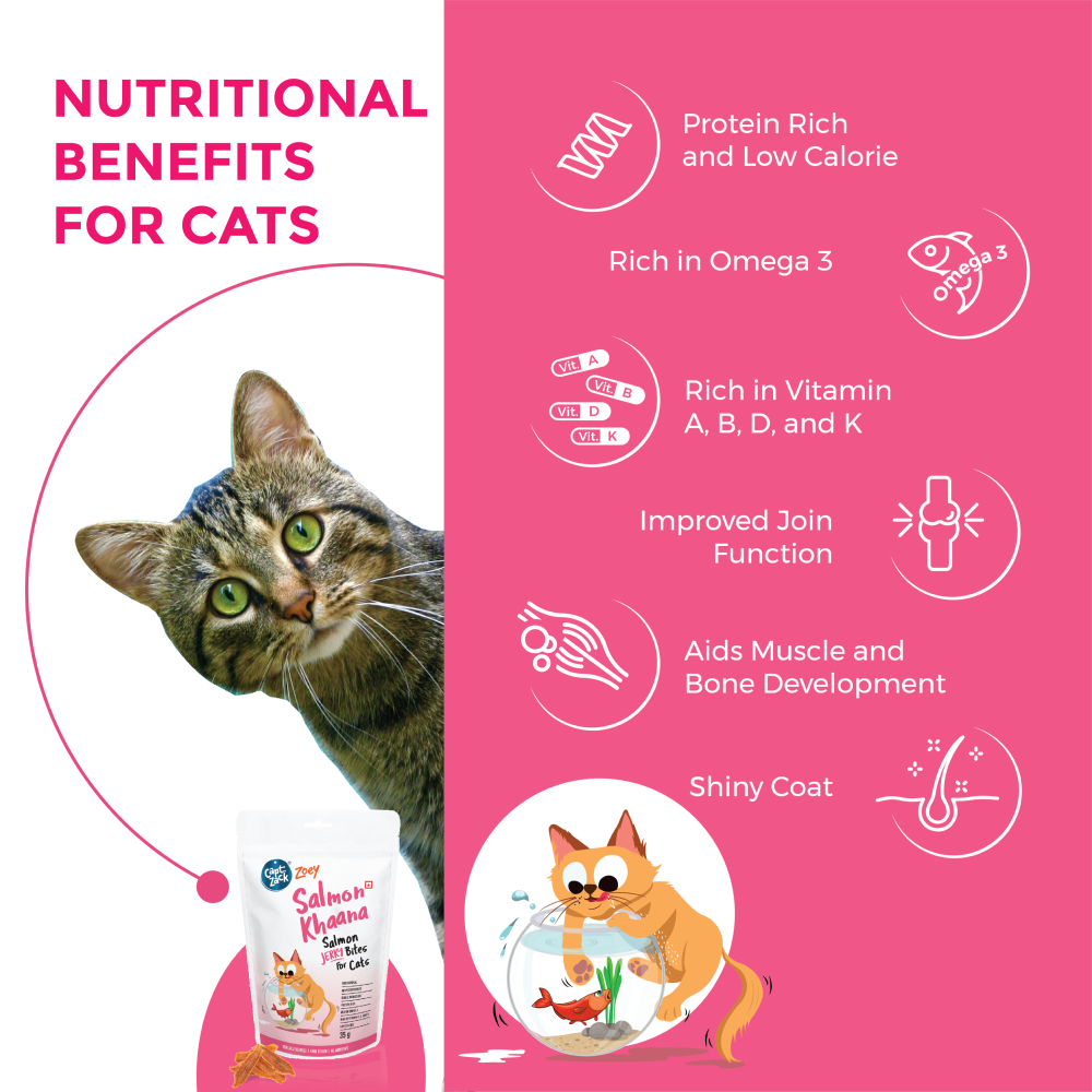 Captain Zack Zoey Salmon Khaana Jerky Bites Cat Treats