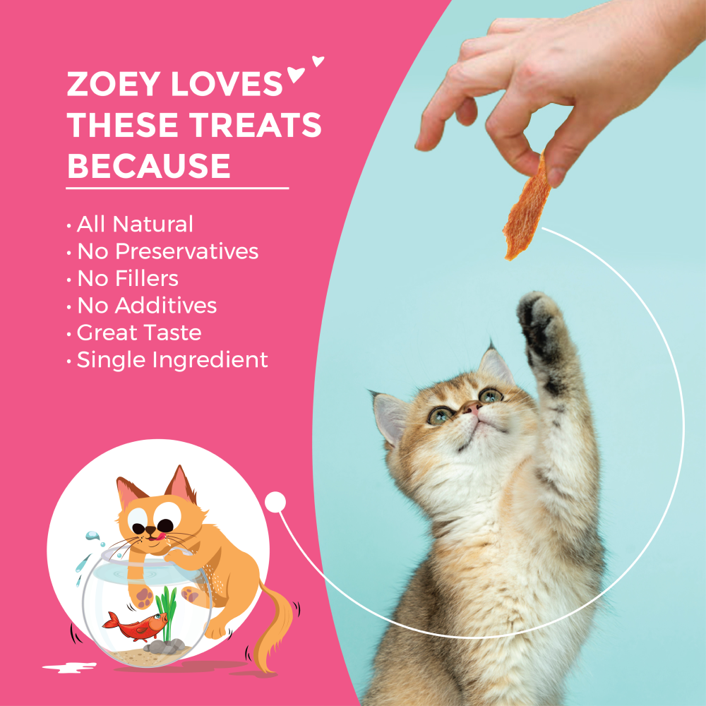 Captain Zack Zoey Salmon Khaana Jerky Bites Cat Treats
