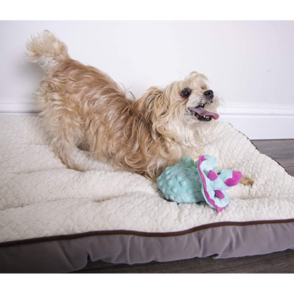 Go Dog Dinos Plush Toy for Dog (Teal)