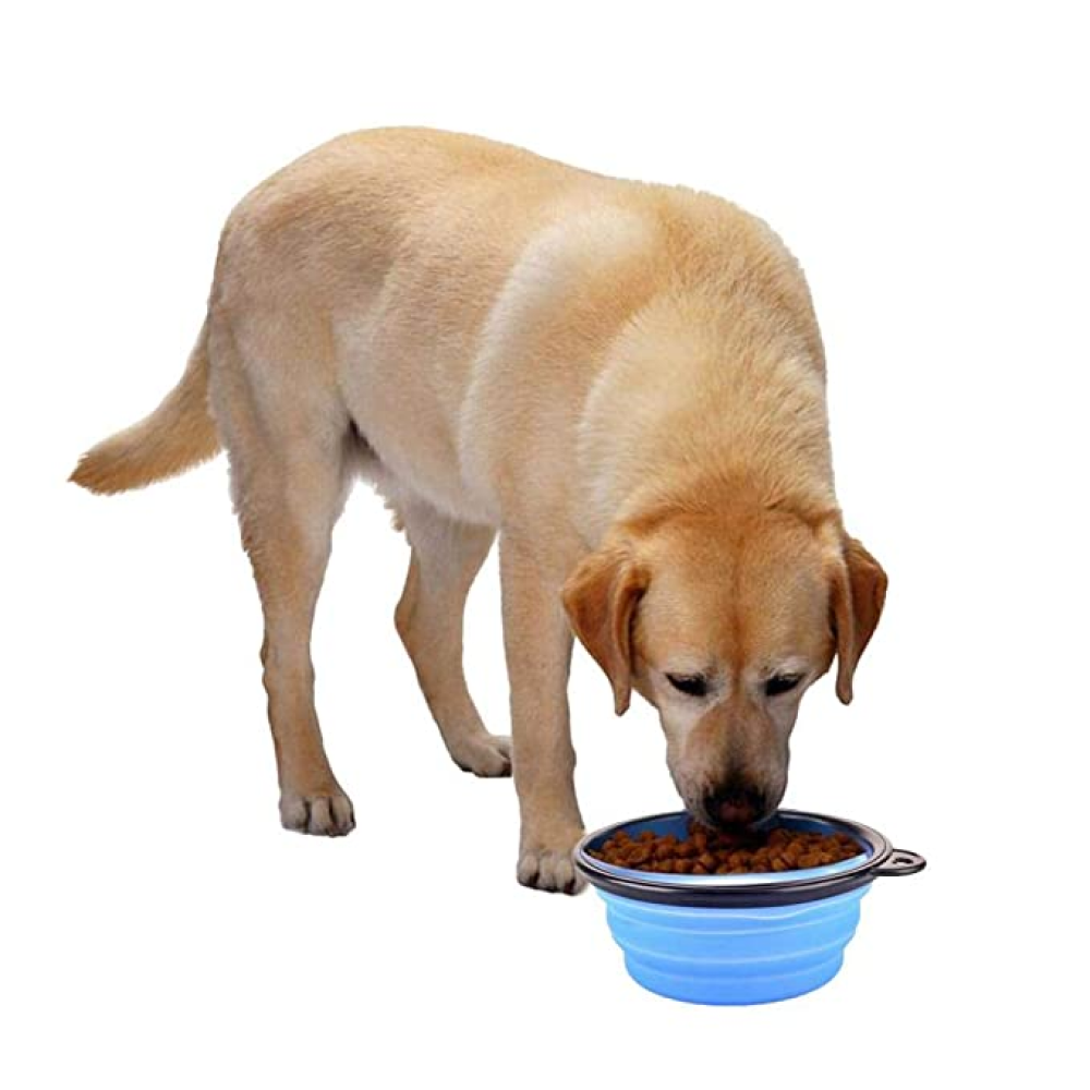 Goofy Tails Collapsible Silicone Travel Pet Bowl for Pets (Grey)