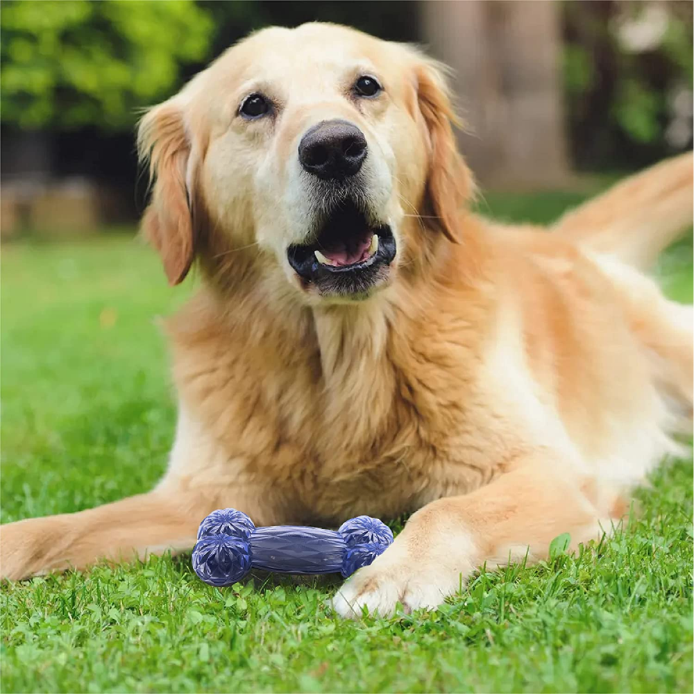 Goofy Tails Rubber Squeaky Bone Toy for Dogs (Dual Tone)